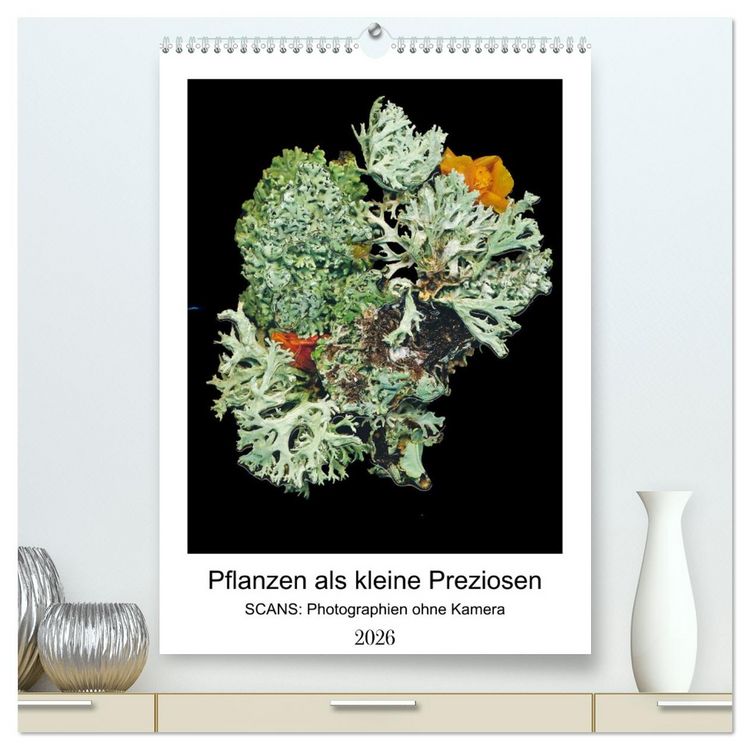 Produktbild: Pflanzen als kleine Preziosen (hochwertiger Premium Wandkalender 2026 DIN A2 hoch), Kunstdruck in Hochglanz