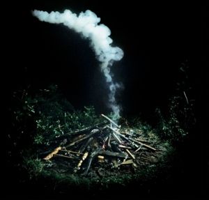 Produktbild: Last Days