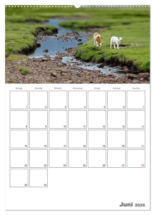Produktbild: Schottland f&uuml;r Naturliebhaber (Wandkalender 2026 DIN A2 hoch), CALVENDO Monatskalender