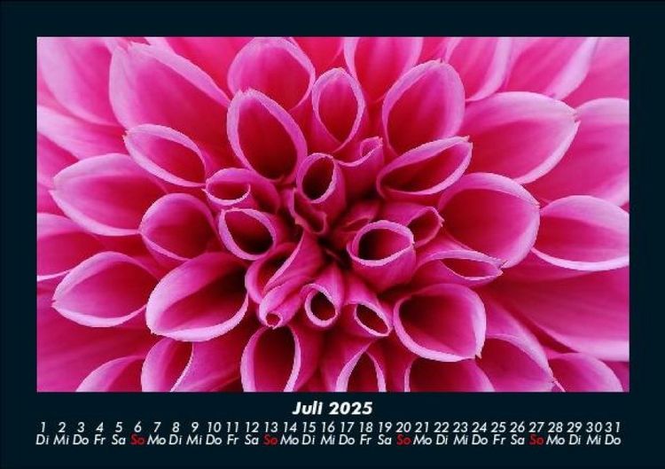 Produktbild: Blumentr&auml;ume 2025 Fotokalender DIN A5