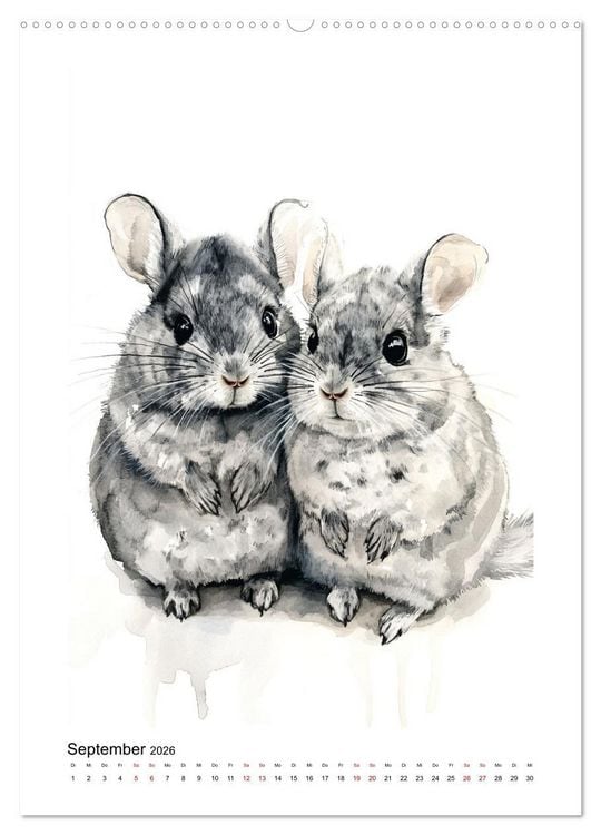 Produktbild: Waurick, K: Knuddlige Chinchillas (hochwertiger Premium Wand