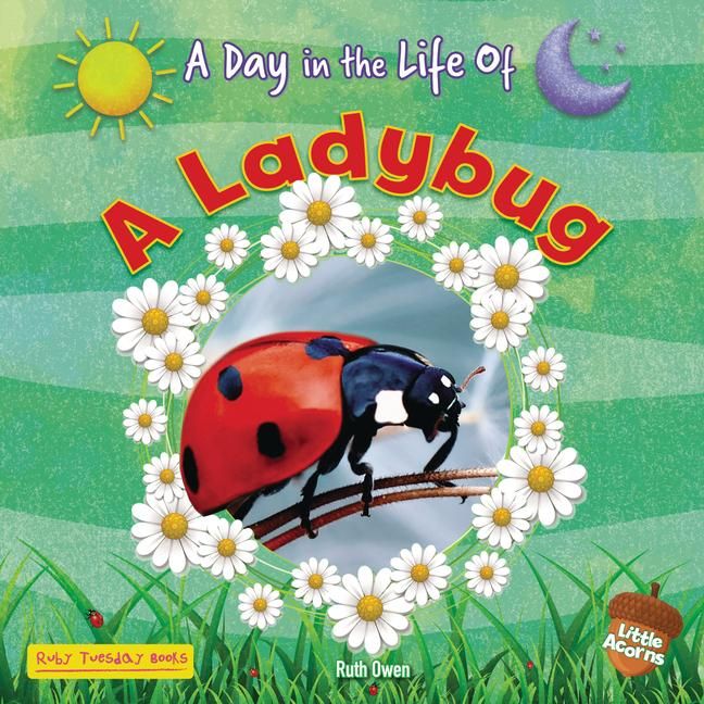 Produktbild: A Ladybug