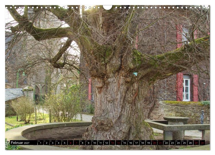 Produktbild: Dorflinden (Wandkalender 2027 DIN A3 quer), CALVENDO Monatskalender