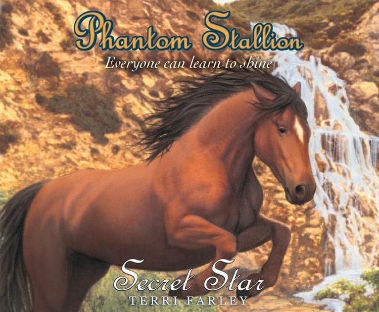 Produktbild: Phantom Stallion, 19: Secret Star
