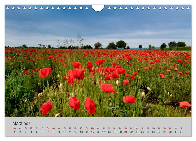 Produktbild: Die Sch&ouml;nheit der Bretagne (Wandkalender 2026 DIN A4 quer), CALVENDO Monatskalender