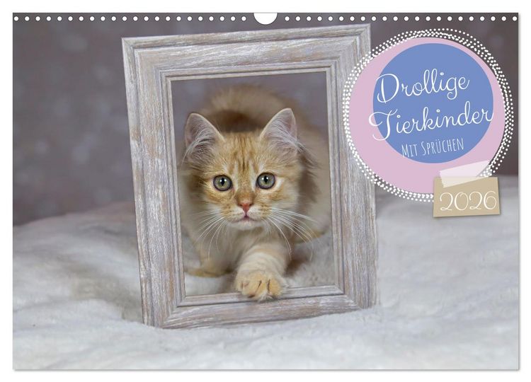 Produktbild: Drollige Tierkinder Mit Spr&uuml;chen (Wandkalender 2026 DIN A3 quer), CALVENDO Monatskalender