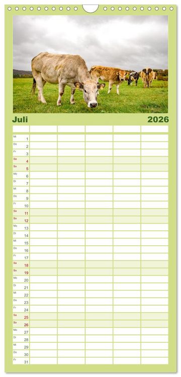 Produktbild: Familienplaner 2026 - Nationalpark Eifel - Sch&ouml;ne Tage im Gr&uuml;nen mit 5 Spalten (Wandkalender, 21 x 45 cm) CALVENDO