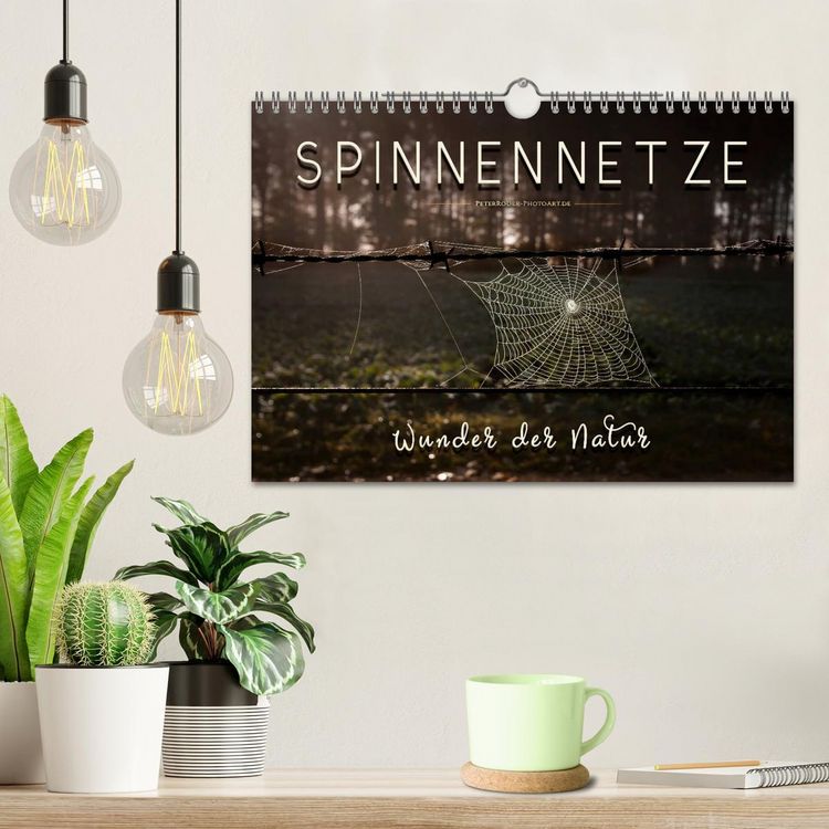 Produktbild: Spinnennetze - Wunder der Natur (Wandkalender 2026 DIN A4 quer), CALVENDO Monatskalender