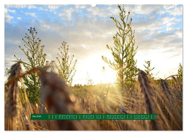 Produktbild: Unterwegs im Deister (hochwertiger Premium Wandkalender 2026 DIN A2 quer), Kunstdruck in Hochglanz