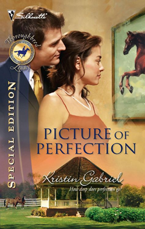 Produktbild: Picture Of Perfection