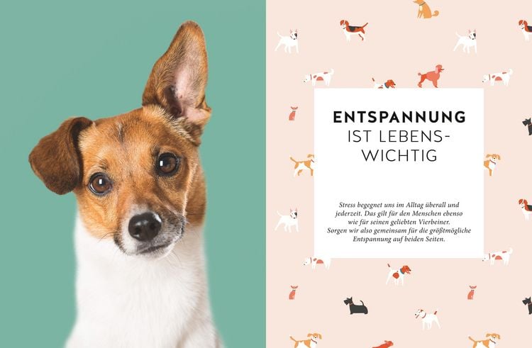 Produktbild: Entspannter Mensch - entspannter Hund...