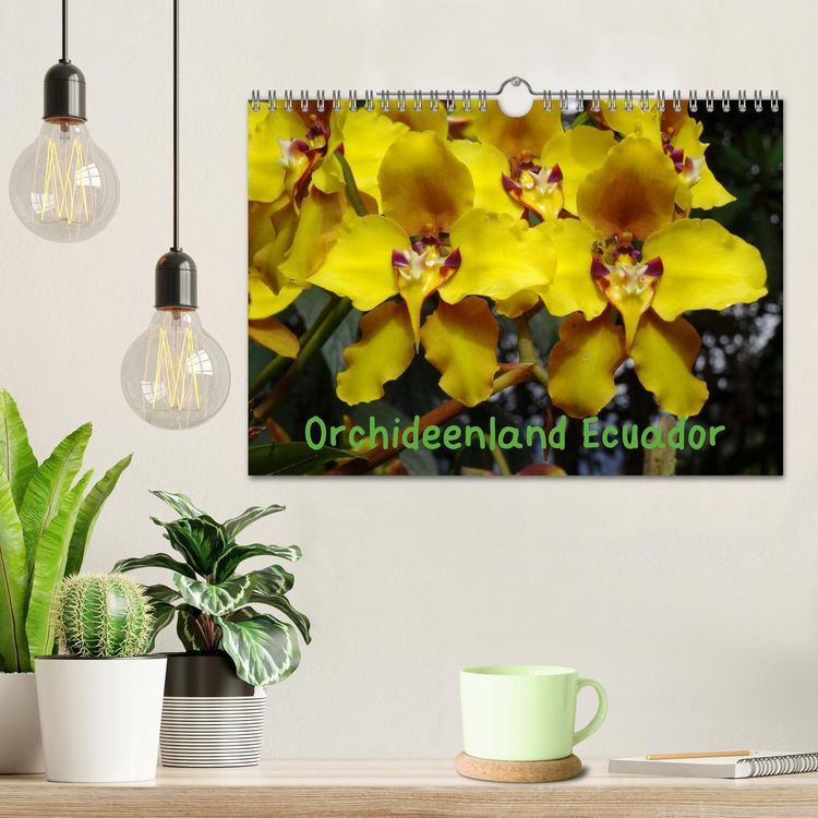 Produktbild: Orchideenland Ecuador (Wandkalender 2026 DIN A4 quer), CALVENDO Monatskalender