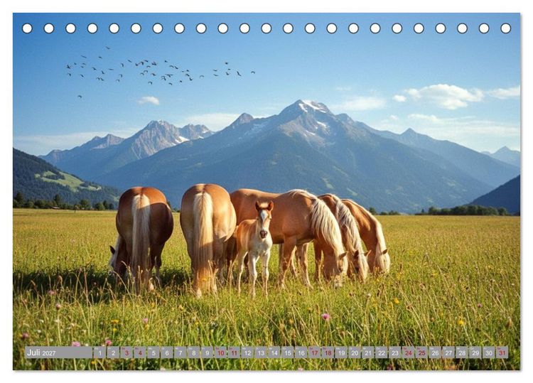 Produktbild: Alpent&auml;ler und Haflinger Pferde (Tischkalender 2027 DIN A5 quer), CALVENDO Monatskalender
