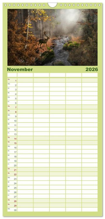 Produktbild: Familienplaner 2026 - Waldgeheimnisse mit 5 Spalten (Wandkalender, 21 x 45 cm) CALVENDO