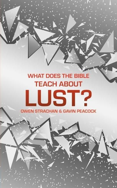 Produktbild: What Does the Bible Teach about Lust?