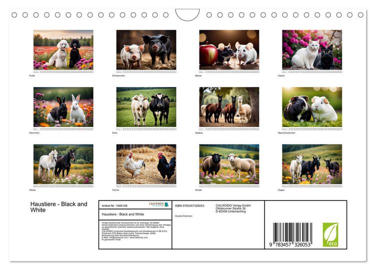 Produktbild: Haustiere - Black and White (Wandkalender 2026 DIN A4 quer), CALVENDO Monatskalender