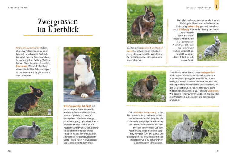 Produktbild: Liebenswerte Zwergkaninchen