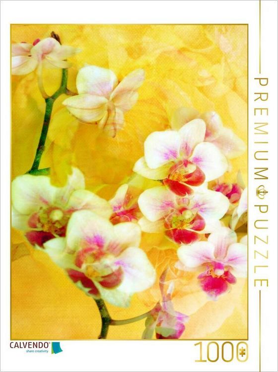 Produktbild: CALVENDO Puzzle Sonnige Orchideen | 1000 Teile Lege-Gr&ouml;&szlig;e 64x48cm Foto-Puzzle f&uuml;r gl&uuml;ckliche Stunden