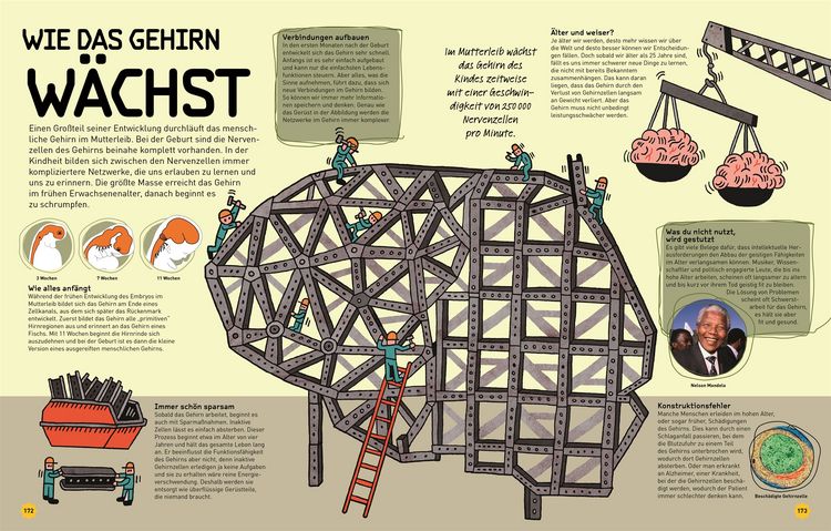 Produktbild: So funktioniert dein Superhirn
