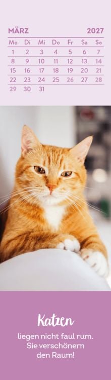 Produktbild: Lesezeichenkalender 2027: Katzenfreunde