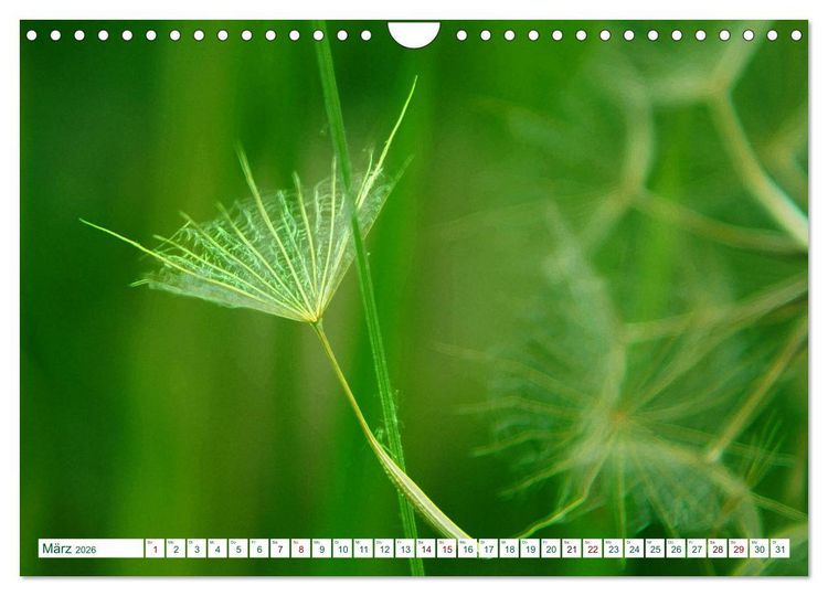 Produktbild: GR&Uuml;N . Die Kraft der Natur (Wandkalender 2026 DIN A4 quer), CALVENDO Monatskalender