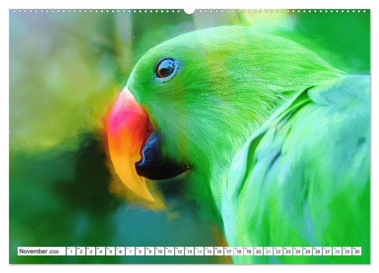 Produktbild: Papageien und Sittiche - Kunstbilder (Wandkalender 2026 DIN A2 quer), CALVENDO Monatskalender
