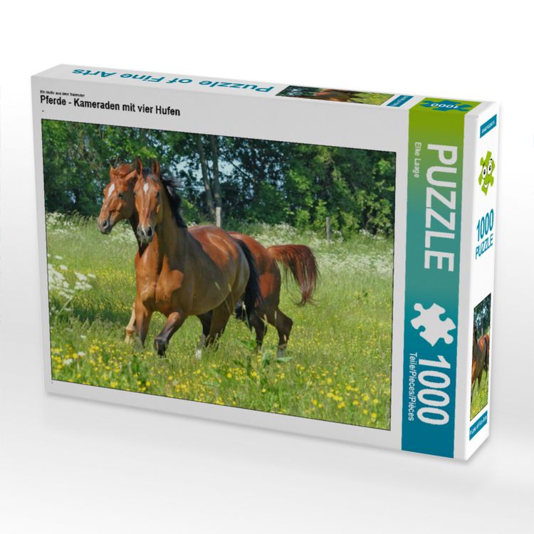 Produktbild: CALVENDO Puzzle Pferde - Kameraden mit vier Hufen 1000 Teile Lege-Gr&ouml;&szlig;e 640 x 480 cm Foto-Puzzle Bild von Elke Laage