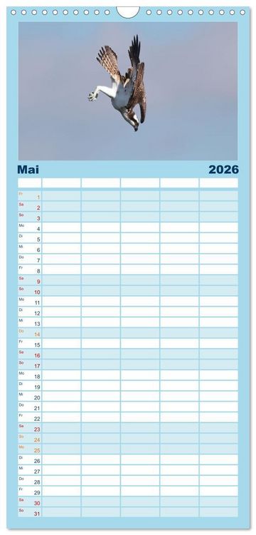 Produktbild: Familienplaner 2026 - Fischadler - Meister des Sturzfluges mit 5 Spalten (Wandkalender, 21 x 45 cm) CALVENDO