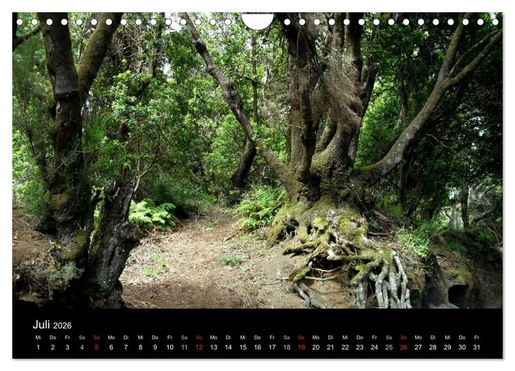 Produktbild: Insel El Hierro - Perle der Kanaren (Wandkalender 2026 DIN A4 quer), CALVENDO Monatskalender