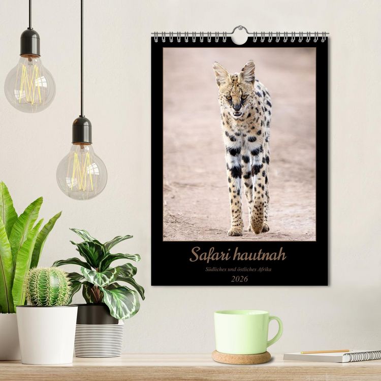 Produktbild: Safari hautnah - S&uuml;dliches und &ouml;stliches Afrika (Wandkalender 2026 DIN A4 hoch), CALVENDO Monatskalender