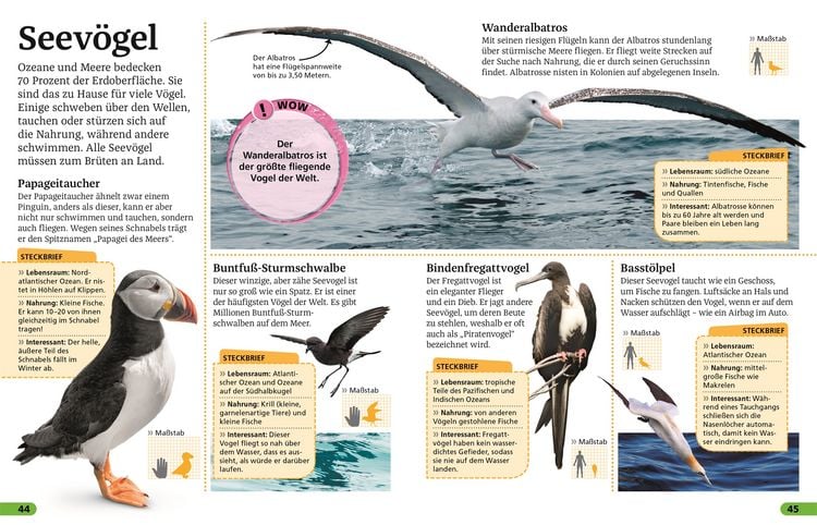 Produktbild: Superchecker! V&ouml;gel