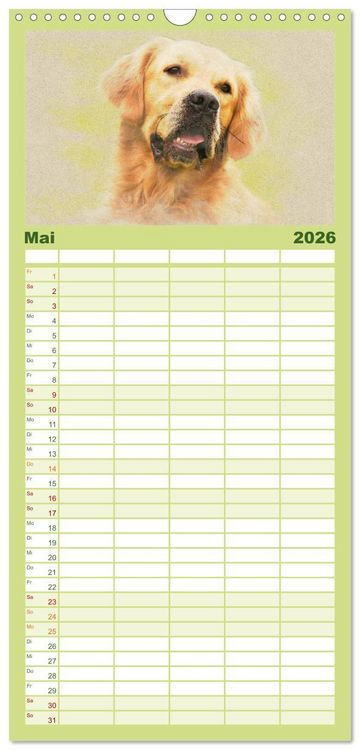 Produktbild: Familienplaner 2026 - Golden Retriever mit 5 Spalten (Wandkalender, 21 x 45 cm) CALVENDO