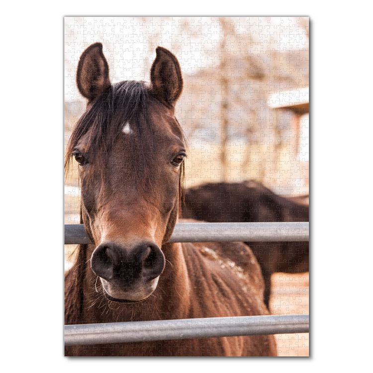 Produktbild: Lais Puzzle Thoroughbred Horse 1000 Teile