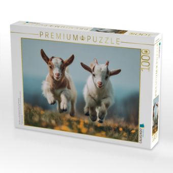 Produktbild: CALVENDO Puzzle Ein Motiv aus dem Kalender Flauschige Momente | 1000 Teile Lege-Gr&ouml;&szlig;e 64x48cm Foto-Puzzle f&uuml;r gl&uuml;ckliche Stunden