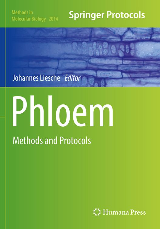 Produktbild: Phloem