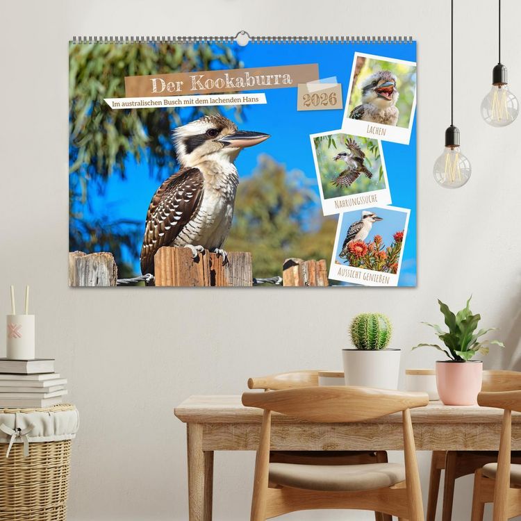 Produktbild: Der Kookaburra - Im australischen Busch mit dem lachenden Hans (Wandkalender 2026 DIN A2 quer), CALVENDO Monatskalender