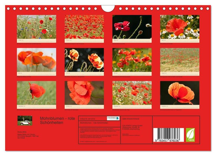 Produktbild: Mohnblumen - rote Sch&ouml;nheiten (Wandkalender 2026 DIN A4 quer), CALVENDO Monatskalender