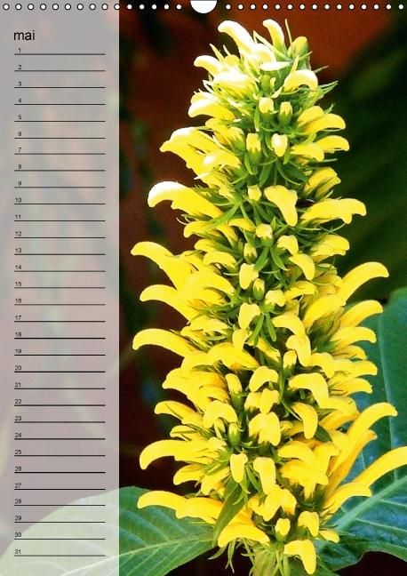 Produktbild: Blank, R: Fleurs tropicales / calendrier anniversaire (Calen