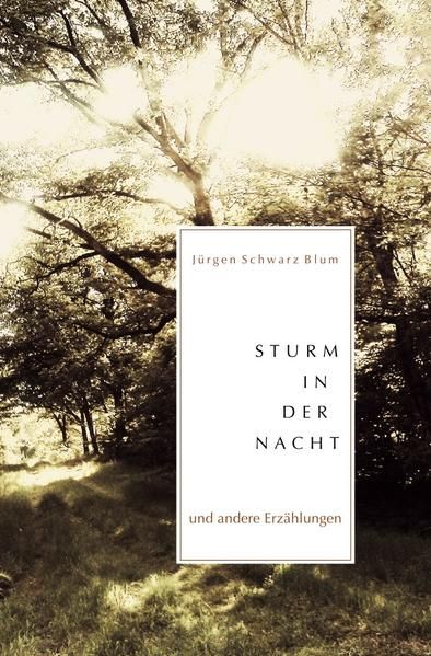 Produktbild: Sturm in der Nacht