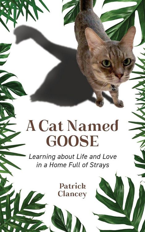 Produktbild: A Cat Named Goose