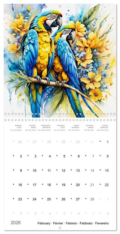 Produktbild: Des perroquets color&eacute;s (Calendrier mural carr&eacute; 2026 30x30 cm) Calendrier double avec une page pour vos prises de notes