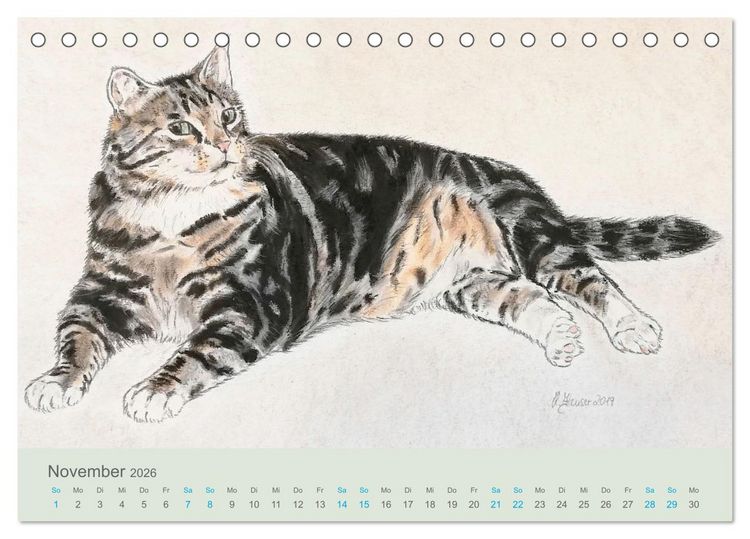 Produktbild: KATZEN PortraiTierART (Tischkalender 2026 DIN A5 quer), CALVENDO Monatskalender