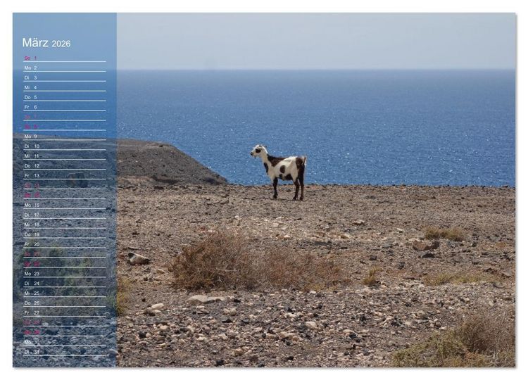 Produktbild: Fuerteventura in Ruhe (Wandkalender 2026 DIN A3 quer), CALVENDO Monatskalender