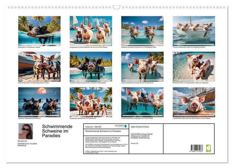 Produktbild: Schwimmende Schweine im Paradies (Wandkalender 2026 DIN A2 quer), CALVENDO Monatskalender