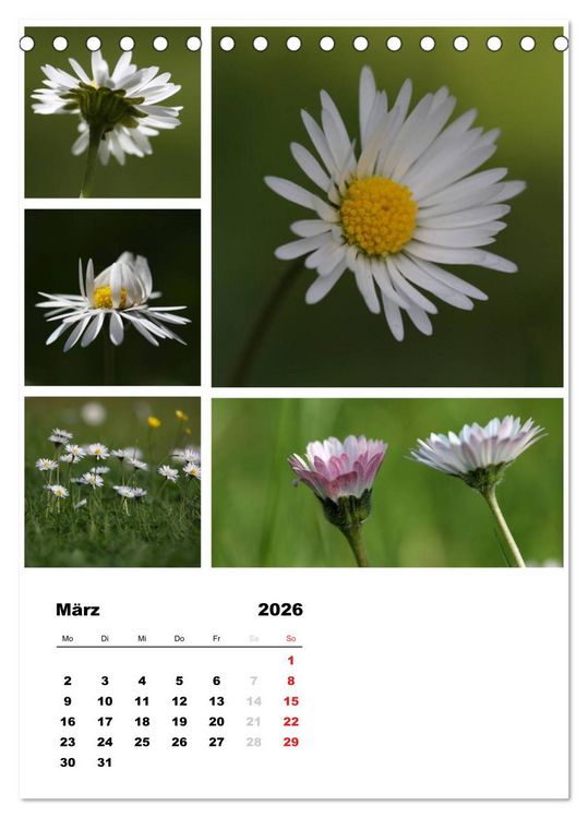 Produktbild: Bl&uuml;ten Collagen (Tischkalender 2026 DIN A5 hoch), CALVENDO Monatskalender