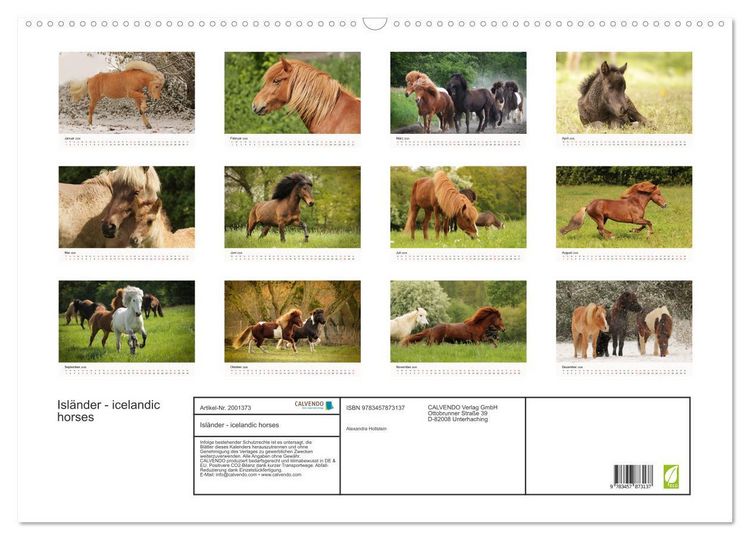 Produktbild: Isl&auml;nder - icelandic horses (Wandkalender 2026 DIN A2 quer), CALVENDO Monatskalender