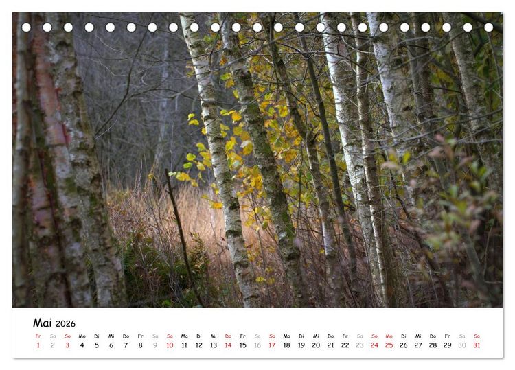 Produktbild: Unterwegs im Teufelsmoor (Tischkalender 2026 DIN A5 quer), CALVENDO Monatskalender