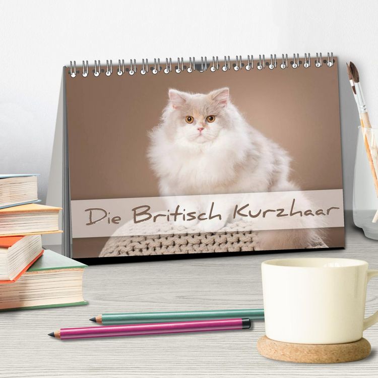 Produktbild: Die Britisch Kurzhaar (Tischkalender 2026 DIN A5 quer), CALVENDO Monatskalender