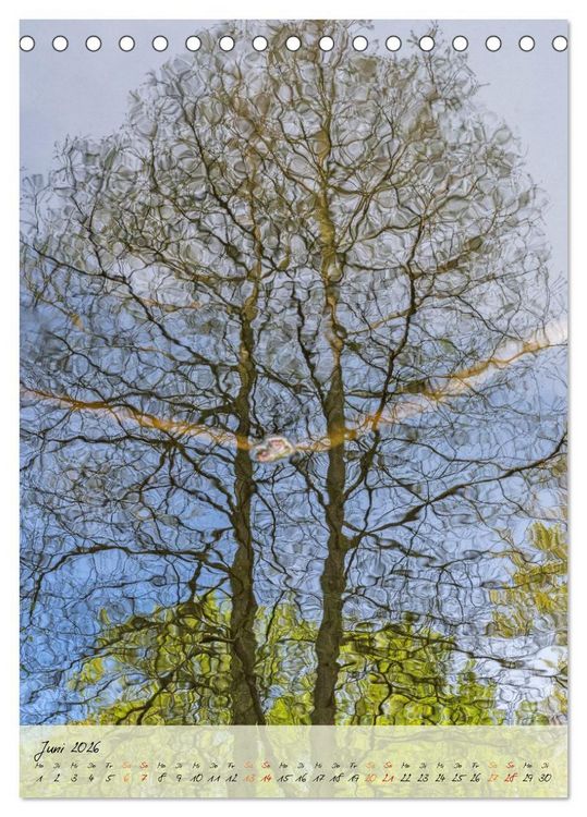 Produktbild: Wo der Wald tr&auml;umt (Tischkalender 2026 DIN A5 hoch), CALVENDO Monatskalender
