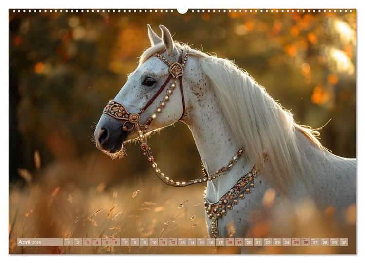 Produktbild: White Horses in Splendor (Wall Calendar 2026 DIN A2 landscape), CALVENDO 12 Month Wall Calendar